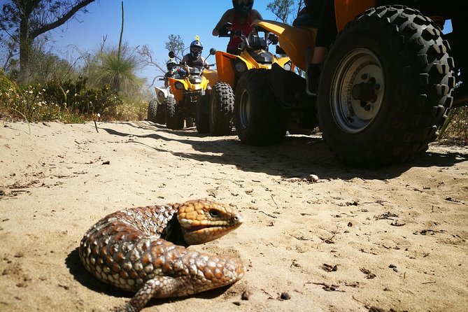 1 Hour Quad Bike Tours, Only 30 Minutes From Perth - Health and Fitness Guidelines