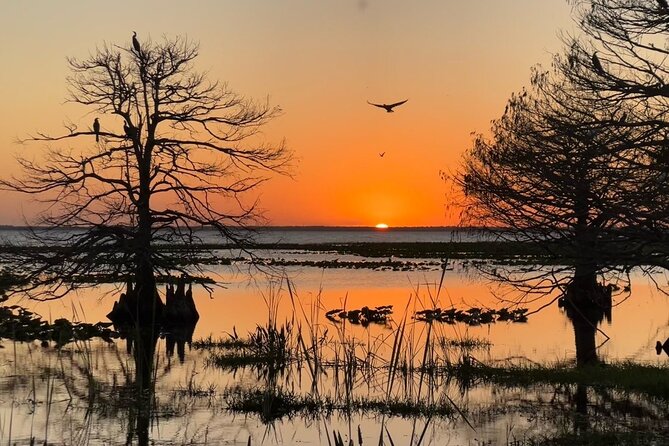 1-Hour Sunset Airboat Ride Near Orlando - Sum Up