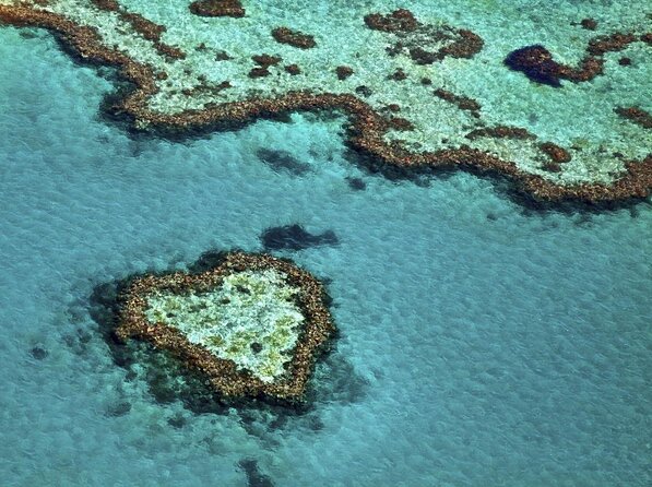 1-Hour Whitsunday Islands and Heart Reef Scenic Flight - Pilot Expertise and Aircraft Safety