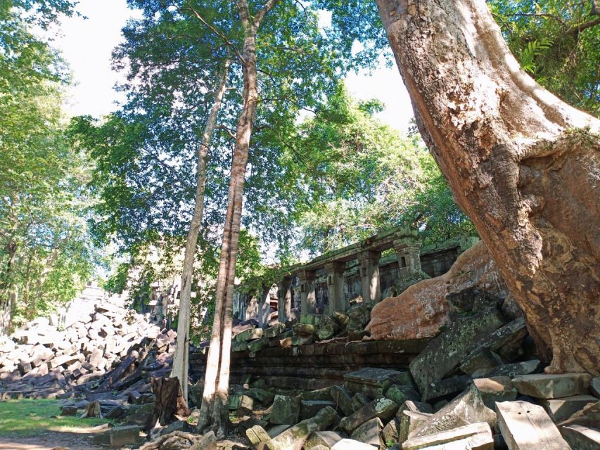 10 Day Private Trip in Siem Reap - Overall Trip Experience