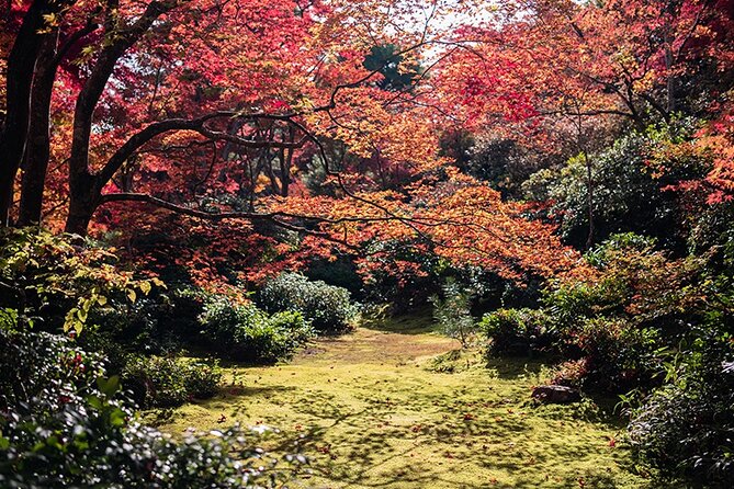 10 Days In-depth Discover Japan Deluxe Tour - Day 7: Takayama and Shirakawa-go