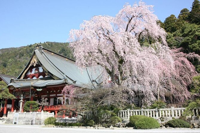 2-Day Private Guided Overnight Hike & Buddhist Temple Stay in Shichimenzan - Booking & Cancellation