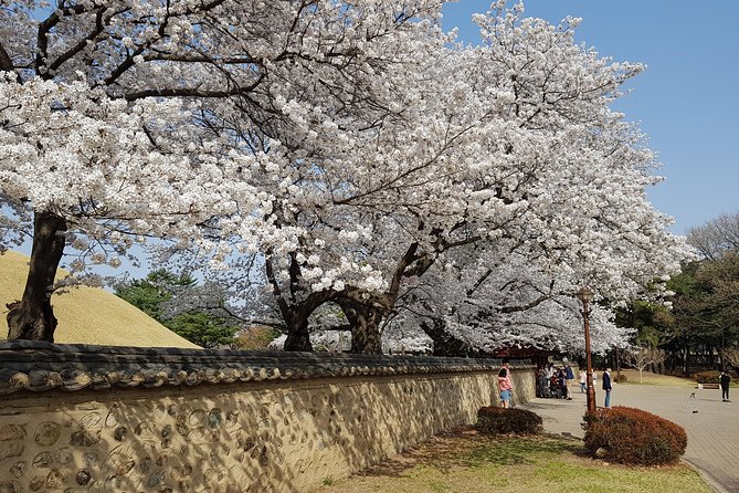 2 Days Gyeongju Private Tour From Seoul and Near Seoul - Group Size Options