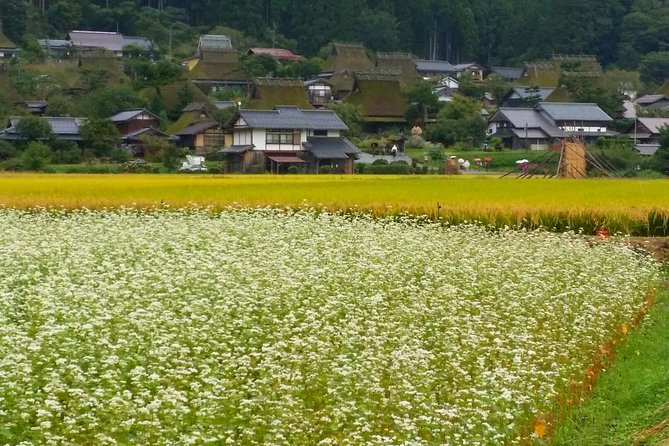 2 Days Kyoto Miyama Bike Tour Self Guided - Safety Tips and Emergency Contact Information