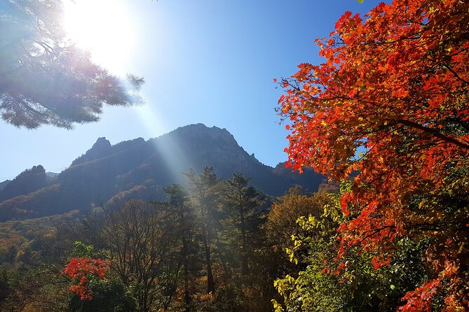 2-days: Mt Seorak, East Sea(Naksansa) & Nami or Ulsanbawi Hiking - Common questions