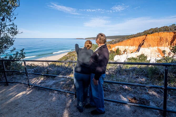 2 Hour Highlights of Eden Tour - Scenic Lookouts and Attractions