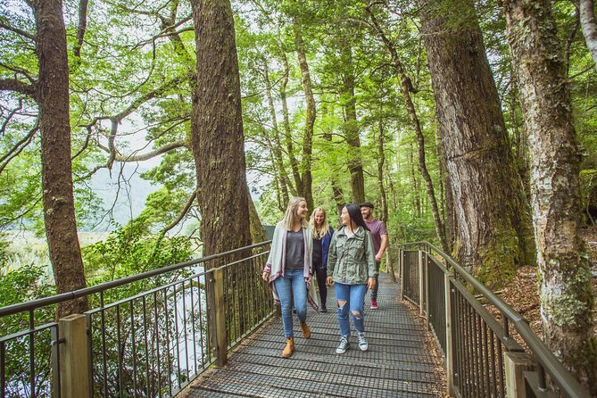 2-Hour Milford Sound Cruise - Cultural Insights and Interpretation