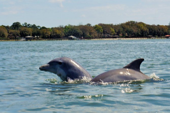 2-Hour Private Hilton Head Dolphin Watching Cruise - Meeting and Pickup Instructions