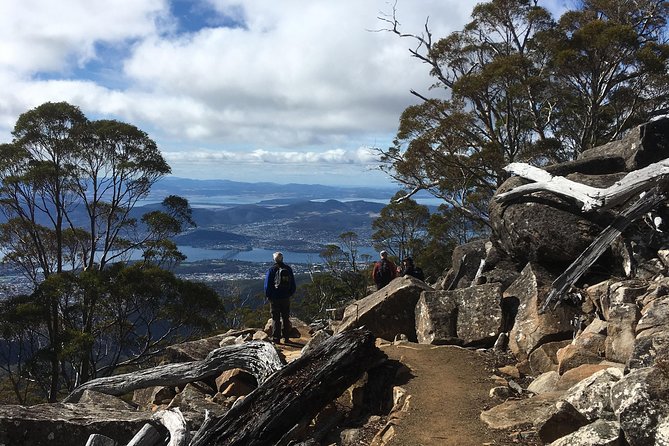 2-Hour Return Kunanyi/Mt Wellington Explorer Bus - Directions and End Point