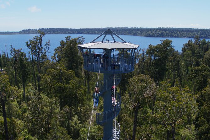2-Hour Tower Zipline and Walkway Combo Private Guided Activity - Sum Up