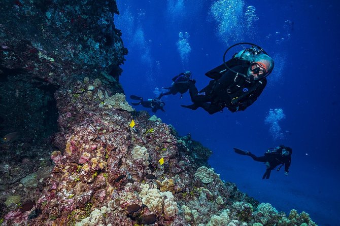 2 Tank Lanai Cathedral Dive - Sum Up