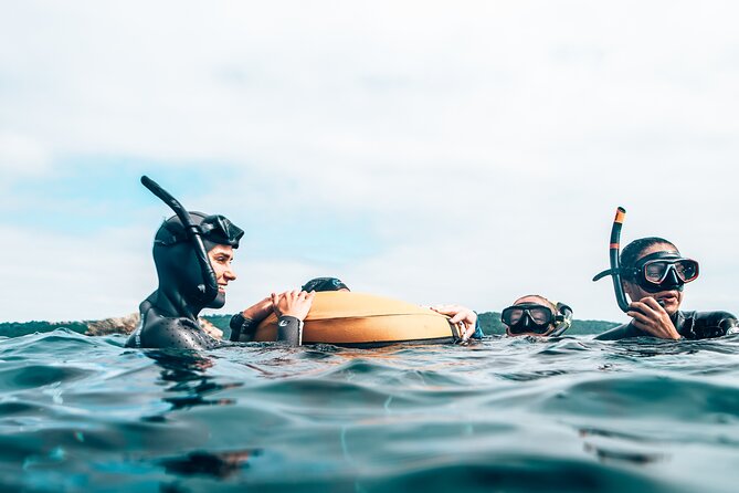 4-Hour Freediving Taster Experience at Shelly Beach, Manly - Common questions