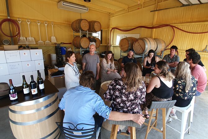 7- 8 Hour StelaVino Guided Wine Tours From Hobart, Tasmania - Common questions