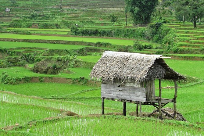 Active Volcano, Rice Field, Hot Spring, Fruit Market, Tea Plantation With Lunch - Sum Up