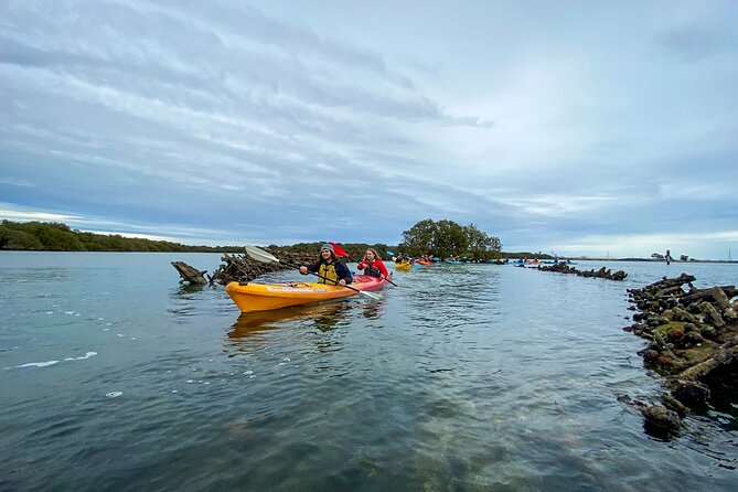 Adelaide Dolphin Sanctuary and Ships Graveyard Kayak Tour - Sum Up