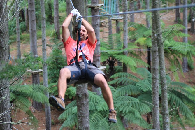 Adrenalin Forest Obstacle Course in the Bay of Plenty - Sum Up