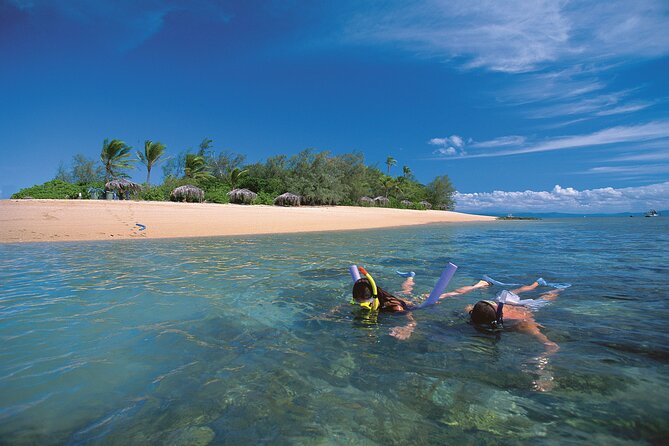 Afternoon Low Isles Snorkelling & Sunset Sail From Port Douglas - Common questions