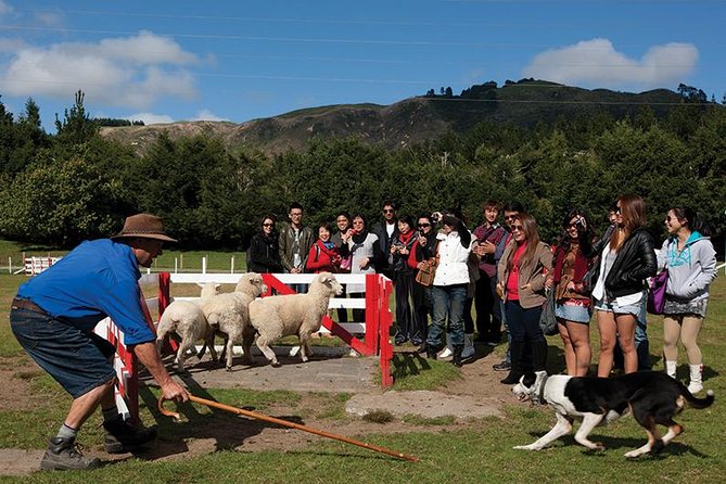 Agrodome Farm Experience Including Farm Show and Farm Tour - Rotorua - Common questions
