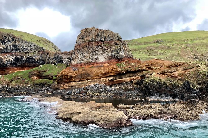 Akaroa and Banks Peninsula Small Group Tour (Nature Cruise or Dolphin Swim) - Sum Up