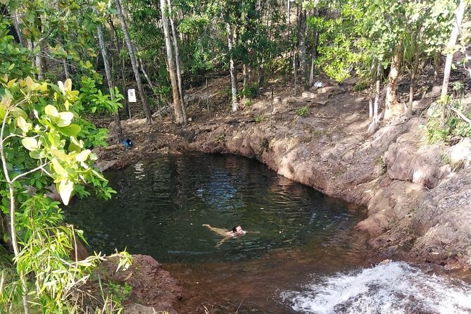 All-Day Tour of Litchfield National Park  - Darwin - Litchfield National Park Attractions