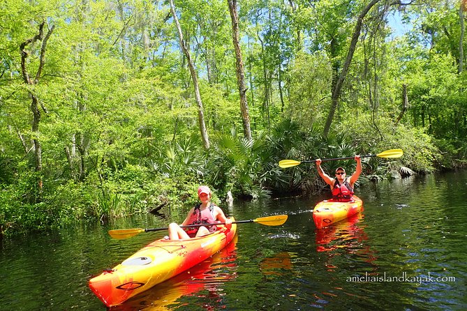 Amelia Island Kayaking Tour  - Jacksonville - Key Points