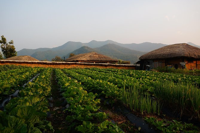 Andong Hahoe Village [Unesco Site] Premium Private Tour From Seoul - Sum Up and Final Notes