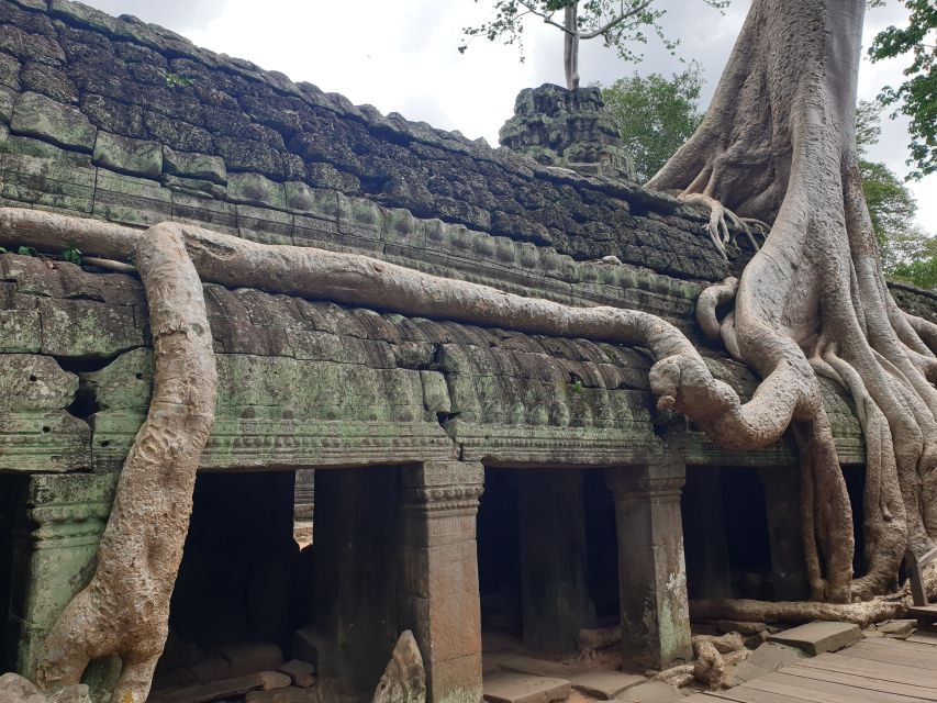 Angkor Sunrise, Taprohm and Angkor Thom. - Booking and Tour Information
