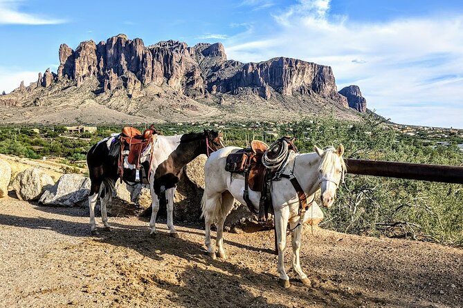 Apache Trail Tour: Superstition Mountains, Ghost Town, Cruise  - Phoenix - Common questions
