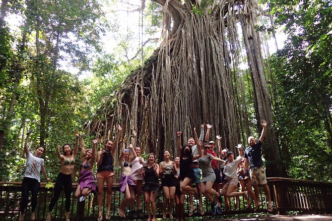 Atherton Tablelands Waterfall Adventure From Cairns - Common questions