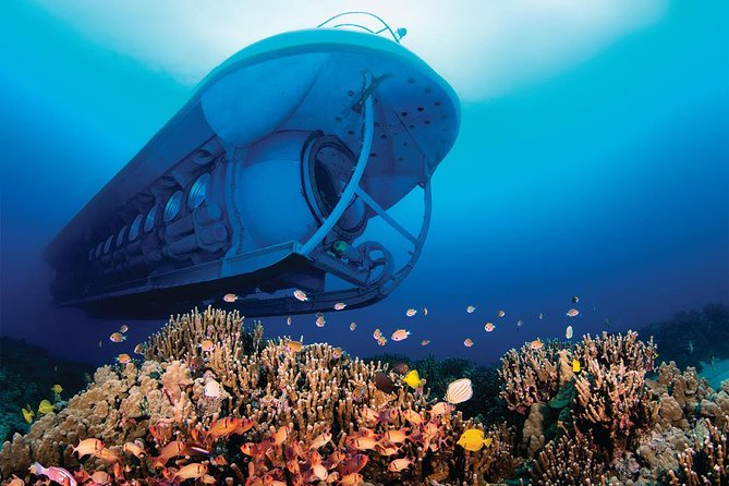 Atlantis Submarine From Kona Beach - Sum Up