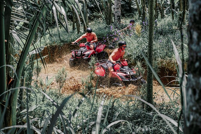 ATV Quad Bike Bali With Waterfall Gorilla Cave and Lunch - Customer Feedback and Reviews