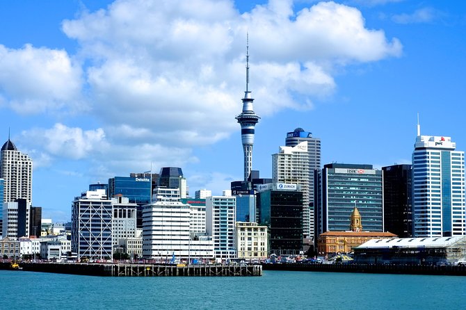 Auckland City Highlights Experience - Fully Guided Small Group Day Tour - Contact and Support