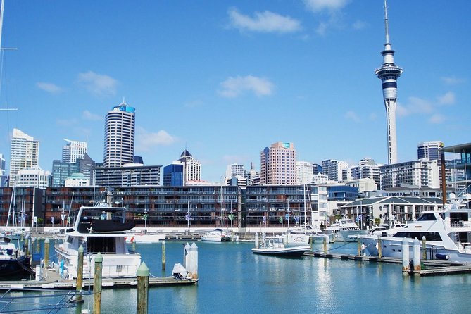 Auckland City Private Tour for Couples. Be Chauffeur Driven With Added Extras. - Customer Experience