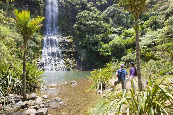 Auckland City, West Coast, & Piha Beach Private Full-Day Tour - Booking Details