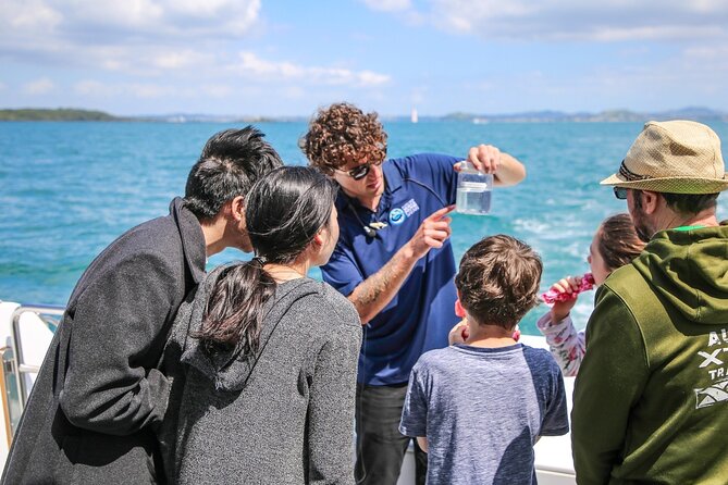 Auckland Dolphin and Whale Watching Eco-Safari Cruise - Departure Information