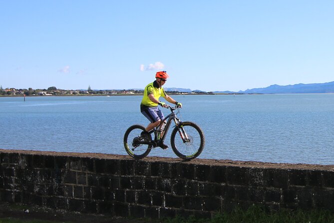Auckland Half Day E-Bike Excursion - Booking Information