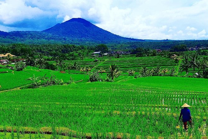 Bali Ancient Temples Tour - Transportation Details