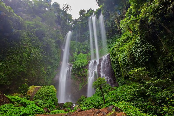 Bali Best Waterfalls Tour : Sekumpul and Banyumala - Pricing Information