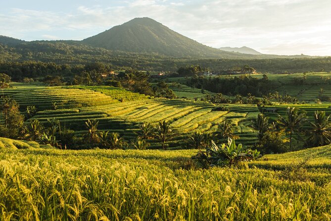 Bali Charm: Full-Day Bedugul and Tanah Lot Tour (UNESCO) - All Inclusive Tickets - Customer Reviews