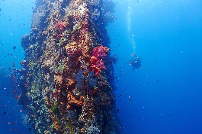 Bali Diving for Beginners: Tulamben Liberty Wreck - Sum Up