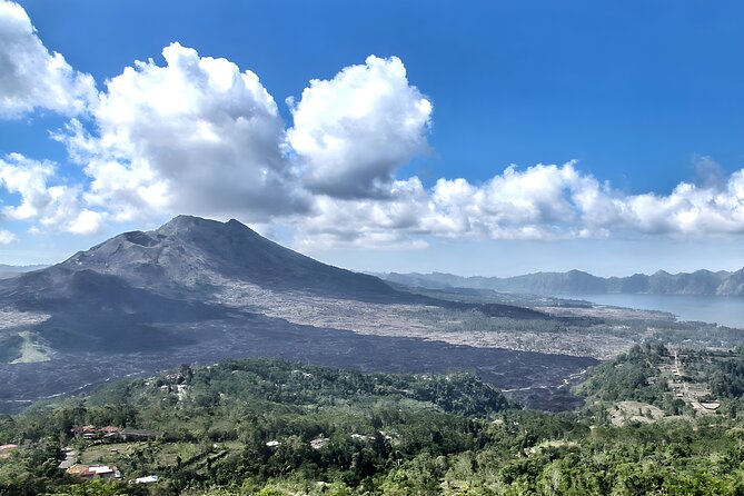 Bali Full-Day Car Charter: Ubud and Kintamani Volcano Tour - Customer Reviews