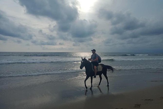 Bali Horse Riding in Seminyak Beach Private Experiance - Transportation Details