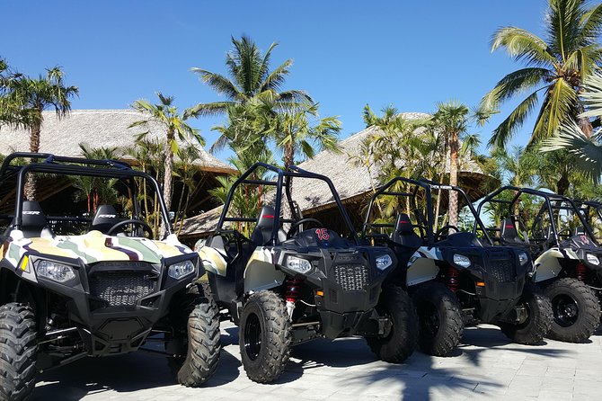 Bali Jungle ATV Half-Day Group Tour  - Kuta - Sum Up