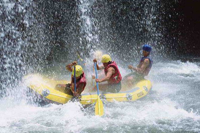 Bali Jungle White Water Rafting Adventure - Sum Up