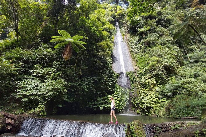 Bali Most Scenic Waterfalls Trekking - Common questions