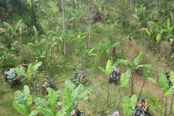 Bali Quad Bike ATV Passing Through Waterfall, Cave & Rice Fields - Sum Up