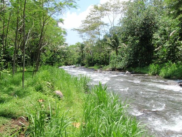 Bali Rafting Zipline at Telaga Waja River With Transfer and Lunch - Key Points