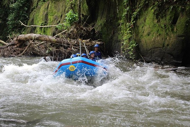 Bali Water Rafting With Lunch & Private Transfer - Sum Up
