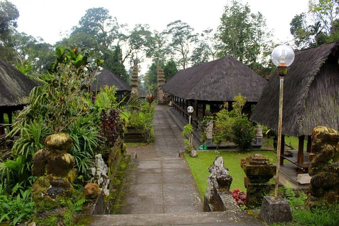 Bali Waterfalls, Rice Fields, and Temple Private Day Tour  - Ubud - Common questions