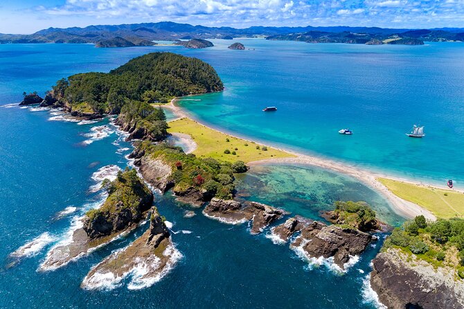 Bay of Islands Discovery Experience From Auckland Incl. Hole in the Rock Cruise - Wildlife Interaction Guidelines